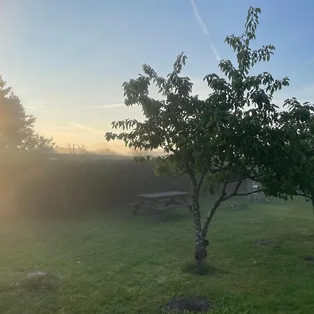 Ruegenferienhaus - Hafen 샤프로데